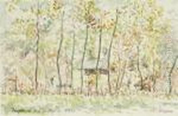 Peupliers A L'autume - view 1