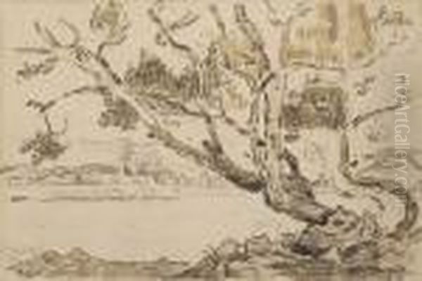 Paysage - view 1