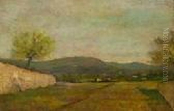 Paesaggio - view 1