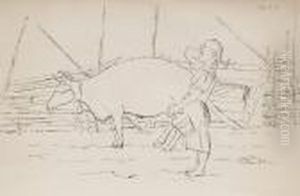 Milking The Cow In The Morning