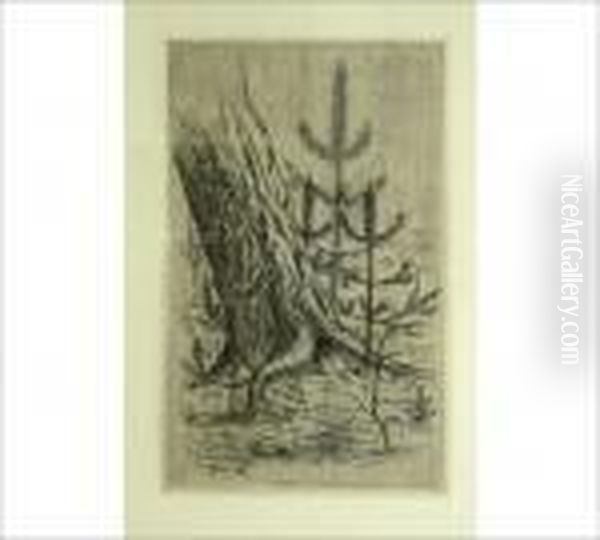 Untitled - view 1