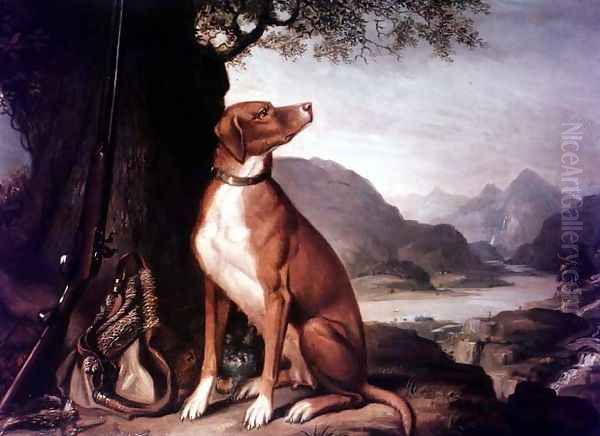G. M. Johnstons favourite gun dog in a landscape - view 1