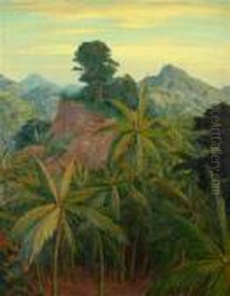 Tropical Nature - Ceylon - view 1