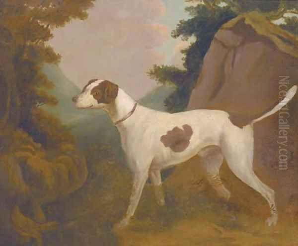A foxhound in a landscape - view 1