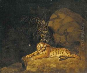 Portrait of the Royal Tiger by George Stubbs