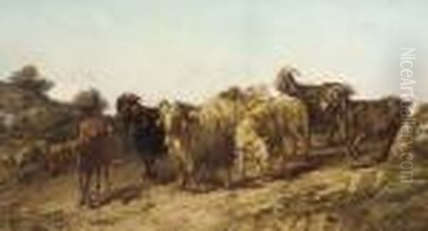 Goats And Sheep In A Rough Terrain - view 1