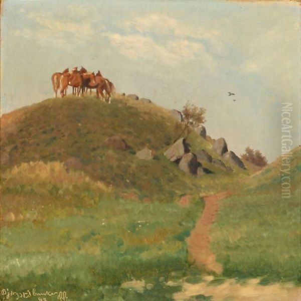 Fra Bjergsted Bakker - view 1