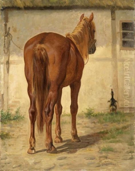 "view Of The Rump" - view 1