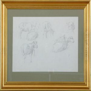 Study Of Sheep by Simon Simonson