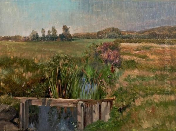 In The Meadow - view 1