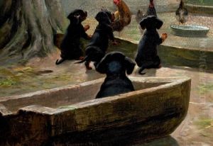 Dachshund Puppies by Simon Simonson
