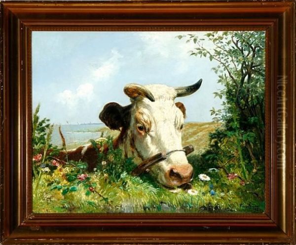 A Cow By A Fence - view 1