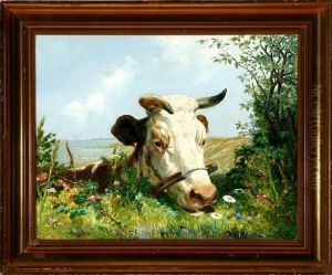 A Cow By A Fence