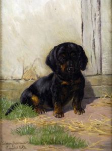 Pintail Dachshund by Simon Simonson
