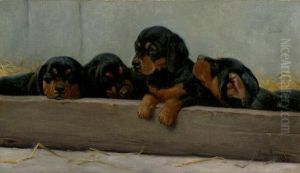 Dachshund Puppies by Simon Simonson