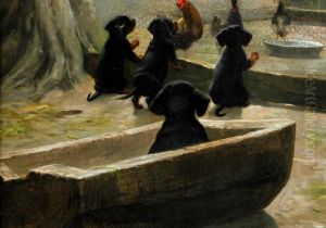 Hundvalpar I Honsgarden