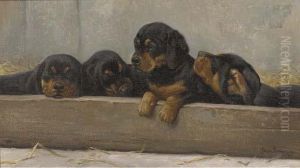 Puppies by Simon Simonson