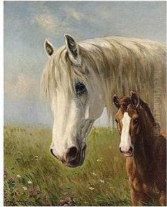 Horses
