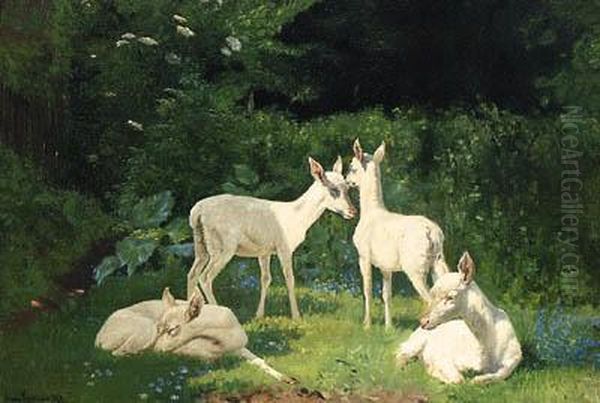 Resting In The Sunshine - view 1