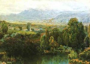 Paisaje Paisaje