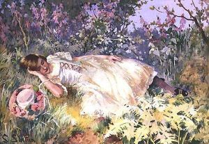 Asleep among the Foxgloves