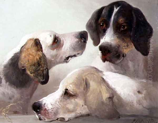 A Study of Hounds - view 1