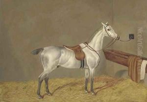 A grey racehorse in a loose box by Henry Shaw