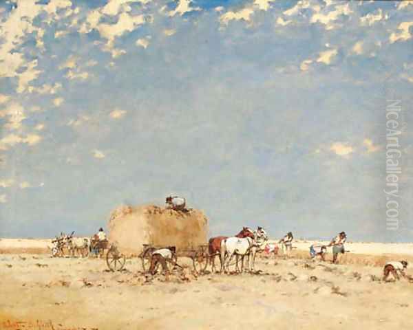 Harvest time - view 1