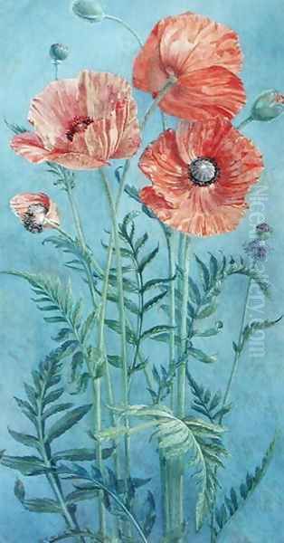Poppies, 1916 - view 1