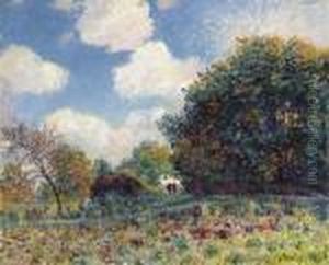 Chemin A L'entree D'un Bois