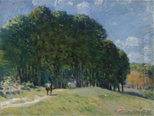 Cavalier En Lisiere De Foret