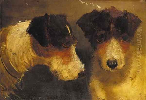 The head of terrier - view 1