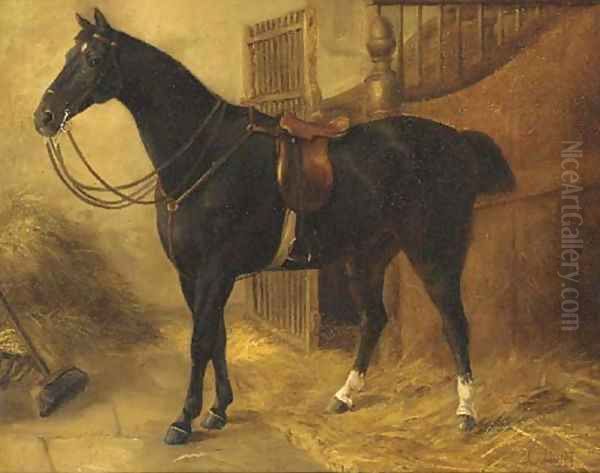A black hunter in a stable - view 1