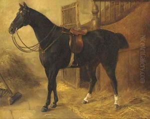 A black hunter in a stable