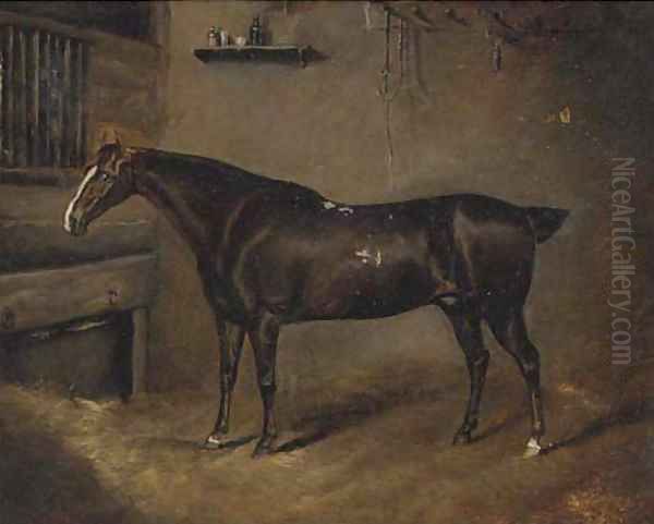 A dark brown horse in a stable - view 1