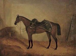 Prince A dark bay charger, in his stable