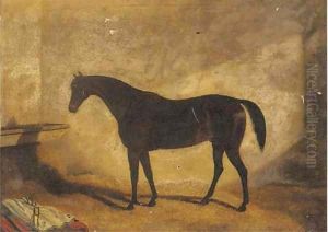 A dark brown hunter in a stable by English School