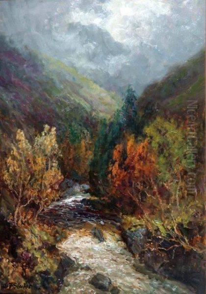 Autumnal Valley - view 1