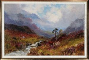 Highland Cattle By A Misty Moorland Burn