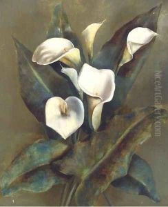 White peace lilies White peace lilies