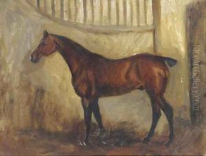A bay horse in a stable by English School
