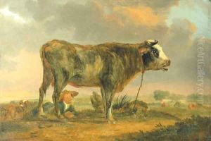 A bull in a meadow