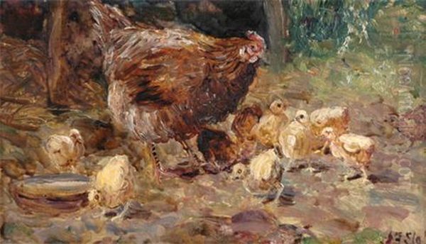 Chickens &amp; Chicks - view 1