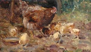 Chickens &amp; Chicks