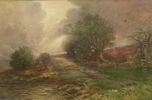 Moorland Landscape - view 1
