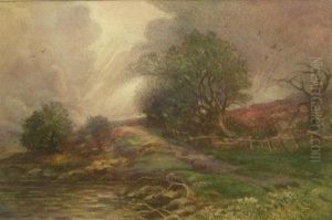 Moorland Landscape