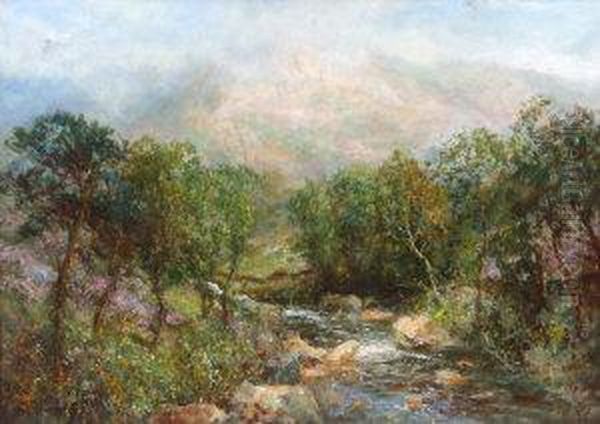 A Wooded River Valley In Springtime - view 1