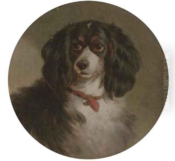A King Charles spaniel - view 1