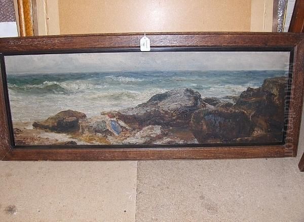 A Rocky Shoreline - view 1
