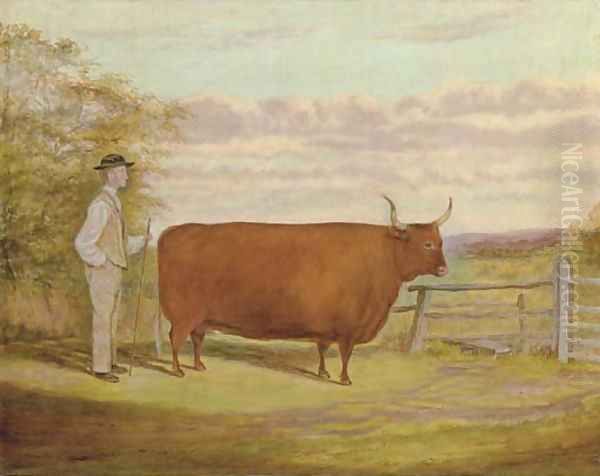 A Long-Horned bull with a farmer in a landscape - view 1